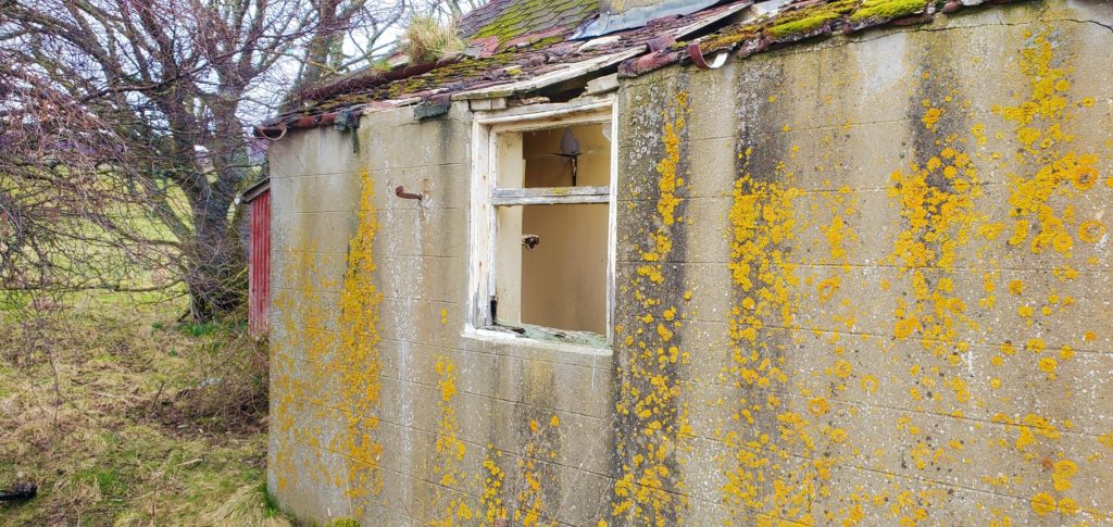 farmhouse outside wall