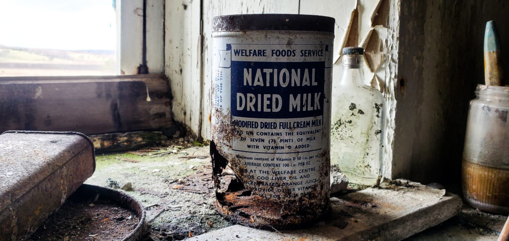 national dried milk